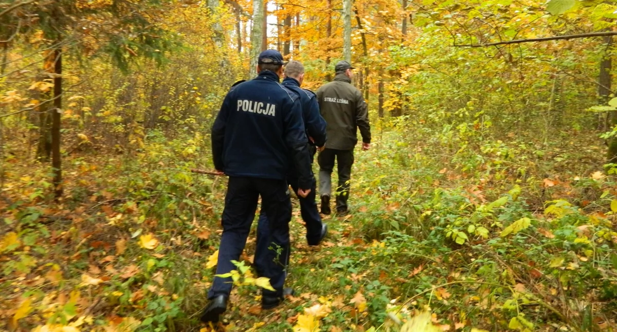 Dekorujesz groby na Wszystkich Świętych? Pamiętaj o legalnym stroiszu. Trwa akcja Straży Leśnej „Stroisz 25”