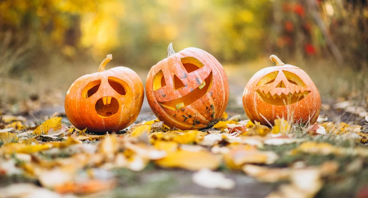 Halloween – skąd pochodzi to święto i jak przyjęło się w Polsce?