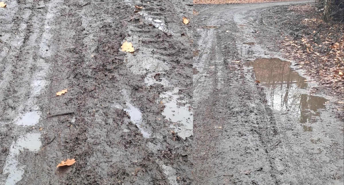 Na ulicy Podgórskiej toną w błocie. Mieszkańcy proszą o interwencję