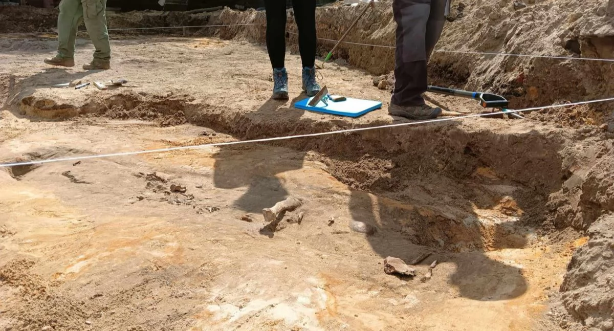 Historia ukryta w kościach. Otwarcie nowej wystawy w Muzeum Miasta Mysłowice