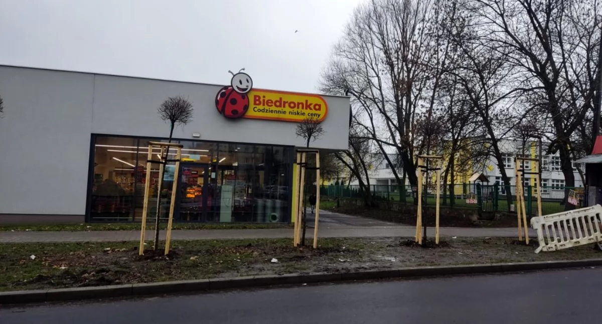 Rozjeżdżony zieleniec. Kierowcy przywykli, że tu był parking