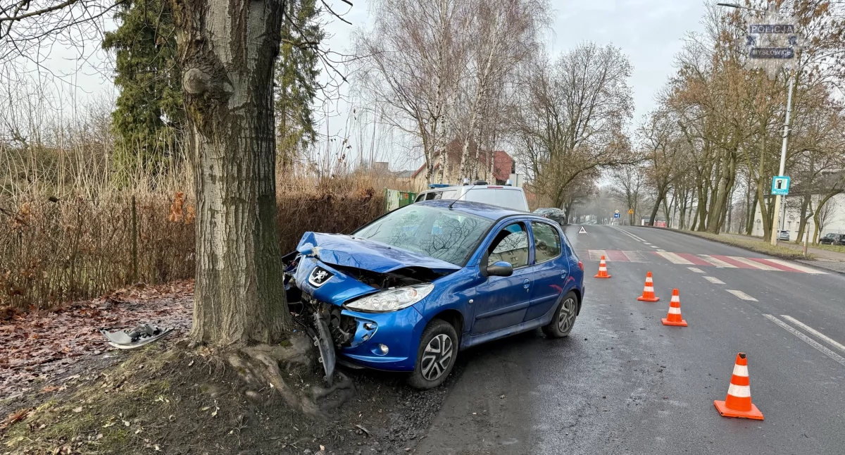 Samochód uderzył w drzewo. Pasażer w szpitalu