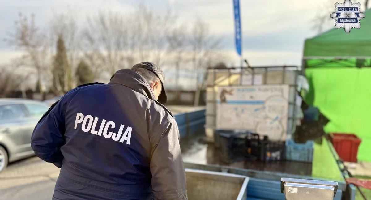 Przedświąteczne kontrole ryb. Policja i Straż Rybacka apelują o legalne i humanitarne zakupy