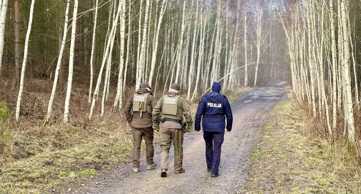 Przed świętami wzmożone kontrole w lasach