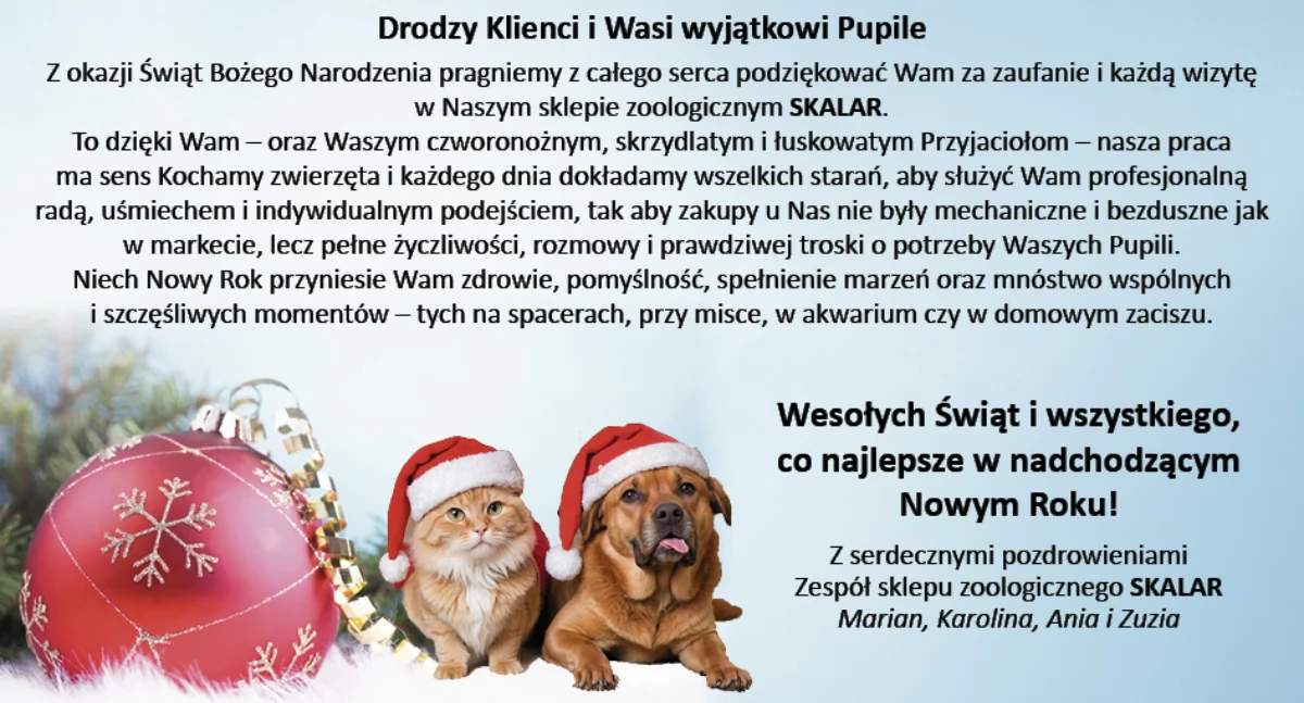 Życzenia na Boże Narodzenie od Sklepu Zoologicznego Skalar