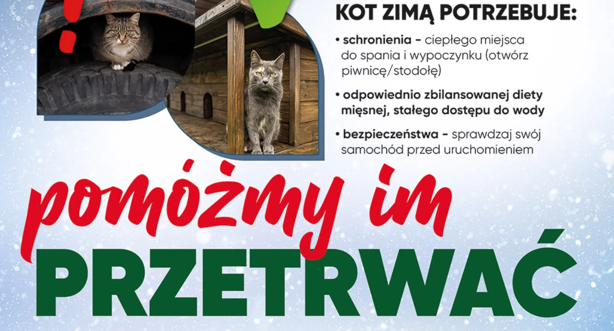 Zimą zadbaj o swojego psa. Zapewnij swojemu zwierzęciu ciepłe schronienie