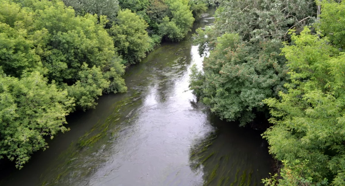 Prąd z rzeki w Mysłowicach. Przemsza na mapie planowanych hydroelektrowni