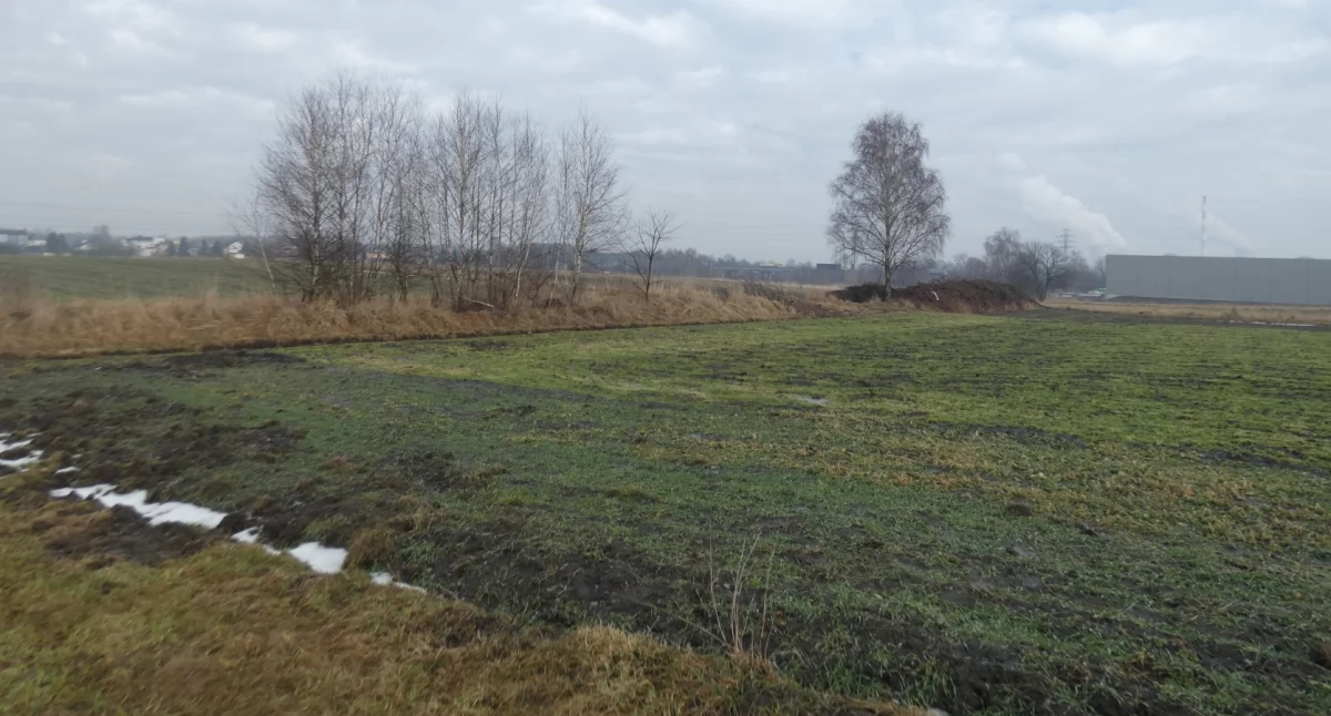 Idąc przez pola Brzezinki