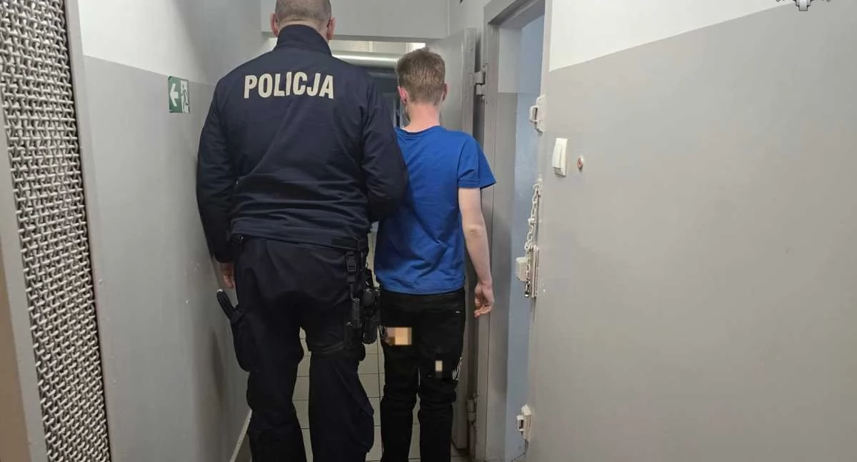 Czterej obywatele Czech zostali zatrzymanych za kradzieże telefonów