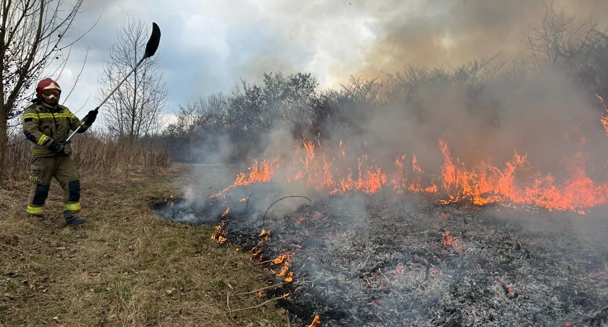 Wypalanie traw to plaga. Strażacy alarmują: już ponad 20 pożarów w Mysłowicach