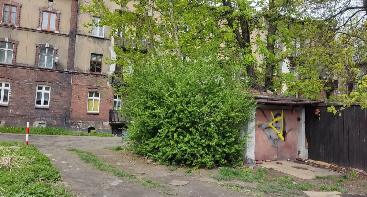 Absurd na ul. Lompy w Mysłowicach. Mieszkańcy przegrali z krzakami