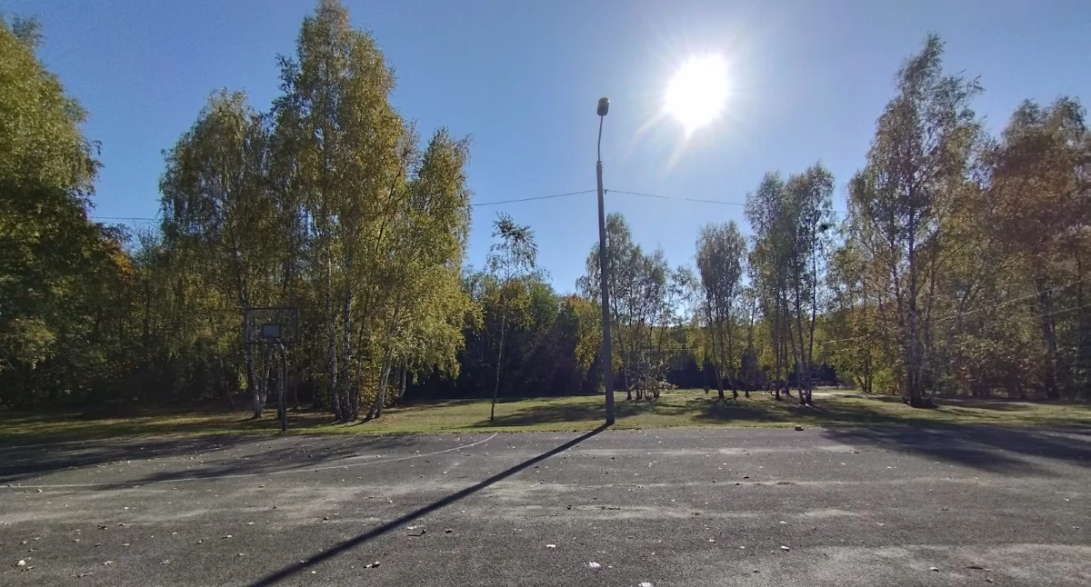 Mysłowice sprzedają atrakcyjne działki w Brzęczkowicach. Przetargi na grunty usługowe