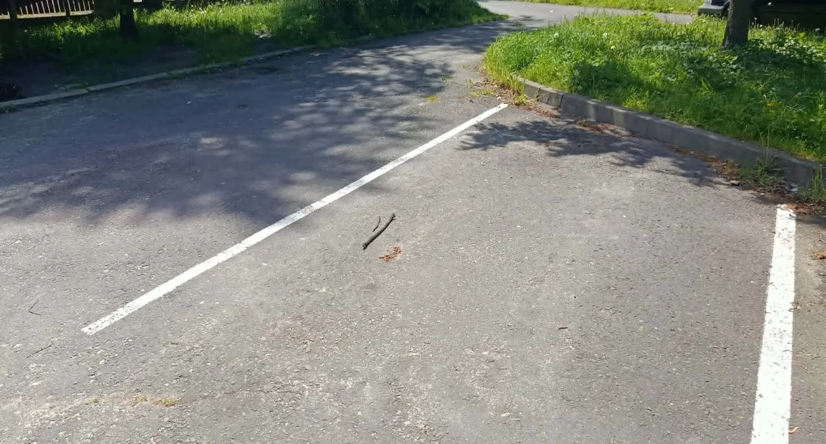 MSM zwiększa liczbę miejsc postojowych. Powstaną także nowe garaże