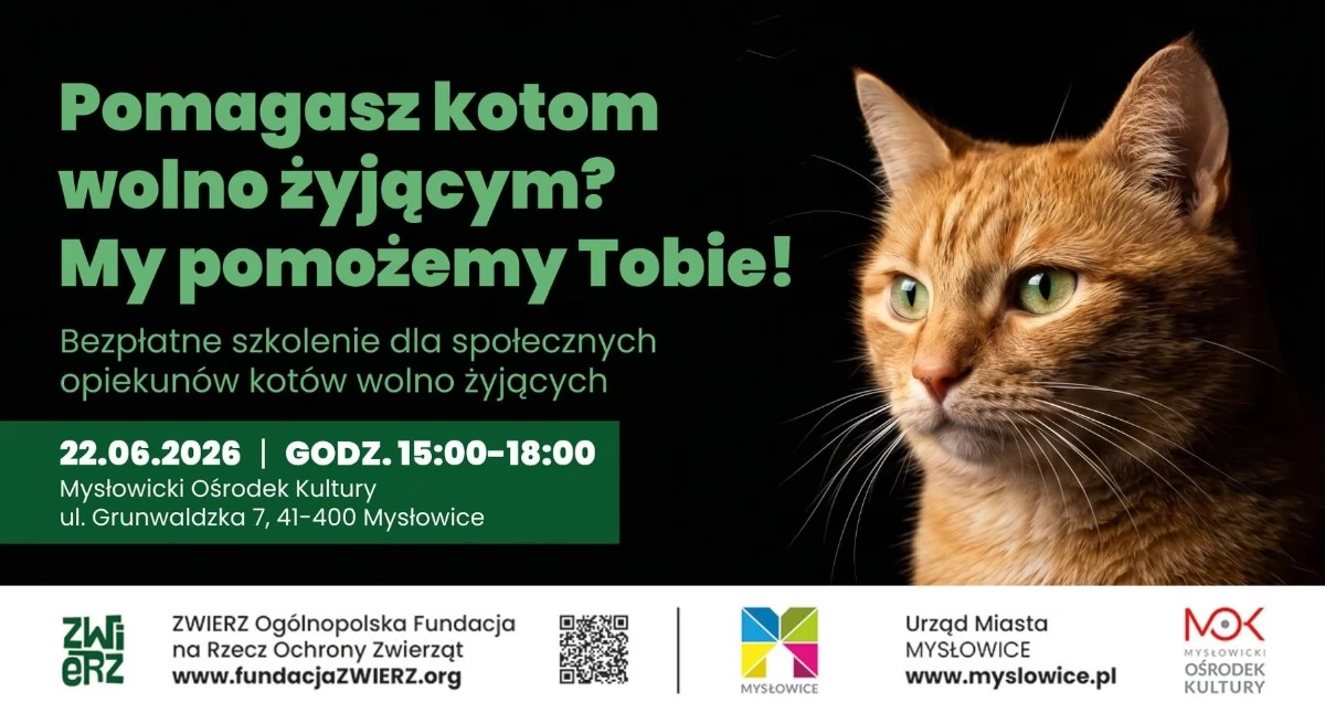 Urząd Miasta Mysłowice organizuje bezpłatne szkolenie dla opiekunów kotów wolno żyjących