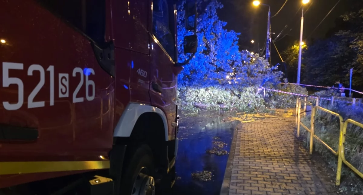 Bilans nawałnicy w Mysłowicach: ponad 36 interwencji, połamane drzewa, zerwane linie energetyczne