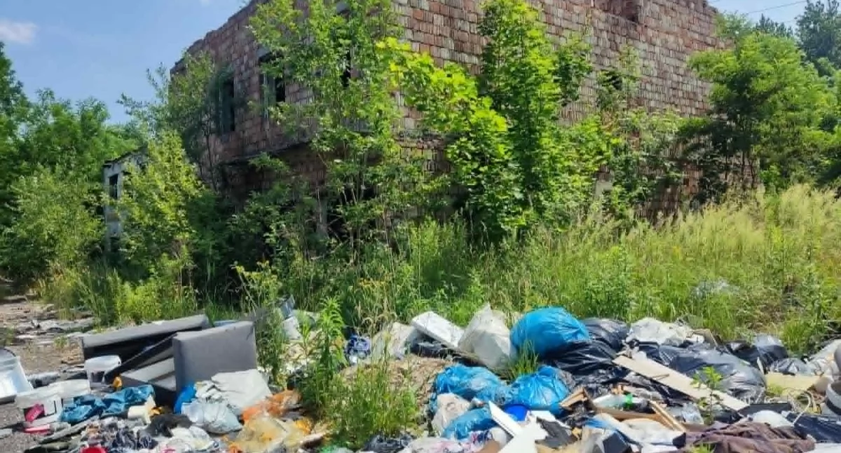 Posprzątają teren przy ul. Ptasiej na Laryszu. MZGK wybrał wykonawcę prac