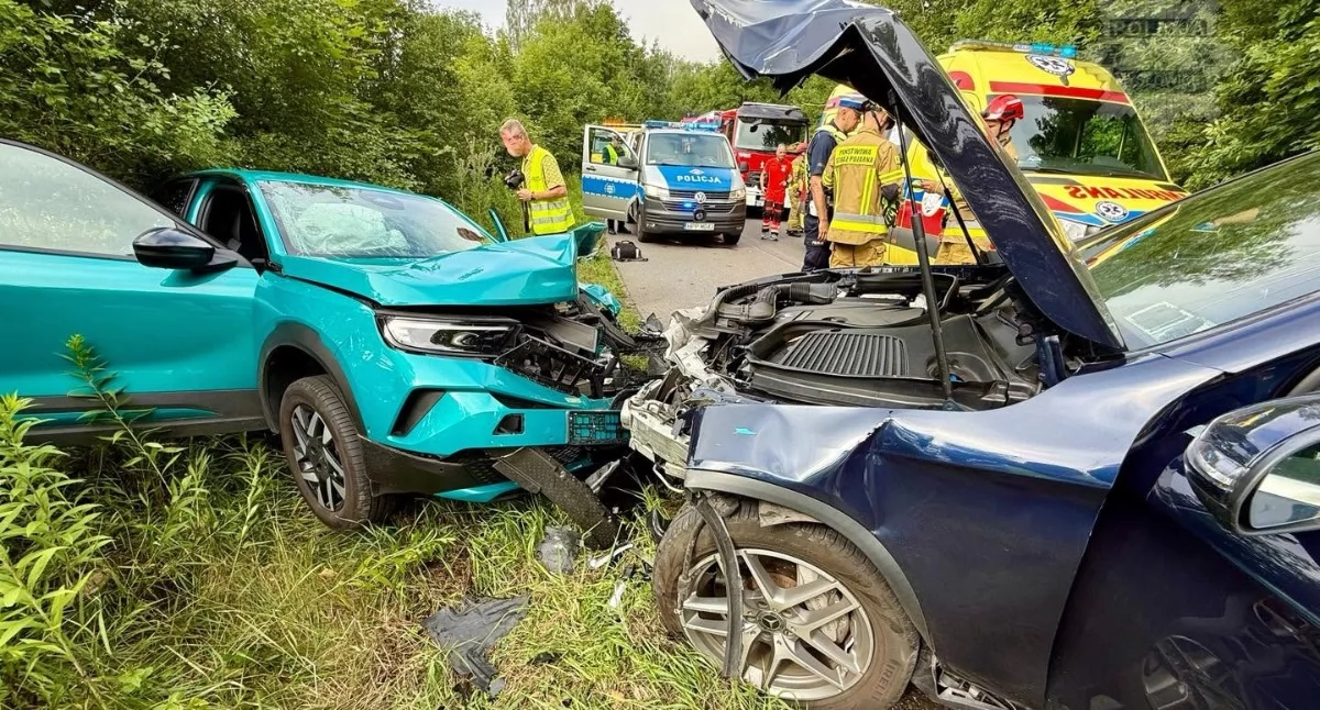 Czołowe zderzenie w Dziećkowicach koło stadniny. Ulica Długa całkowicie zablokowana