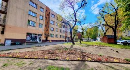 Skwerek na Skotnicy pięknieje