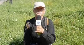 Po co nam drzewa w mieście?