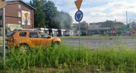 Rondo Solidarności chwastów