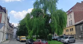 Wycinka drzew na placu Mieroszewskich. Urząd apeluje&hellip;