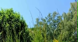 Ogród, miejsce nad wodą, działka rekreacyjna? A jak &hellip;