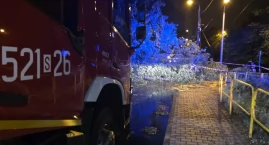 Bilans nawałnicy w Mysłowicach: ponad 36 interwencji, połamane drzewa, zerwane linie energetyczne