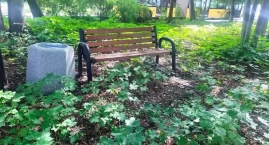 Wesoła: Postawili 10 ławek w krzakach, tam, gdzie ni&hellip;