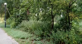 Po problemach z latarniami na Rynku czas na Bończyk.&hellip;