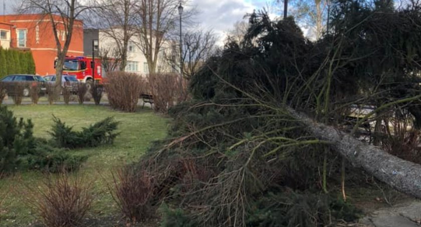 OSP Wyszogród 9 interwencji związanych z wichurą 19.02.2022