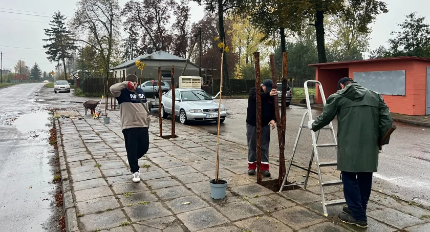 KLONY KULISTE W NOWYCH ŁUBKACH RAMACH PROGRAMU DZIAŁAJ LOKALNIE 2023