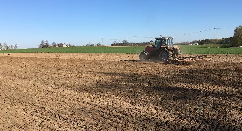 ODNAWIAMY BOISKO W NOWYCH ŁUBKACH – ETAP 1 