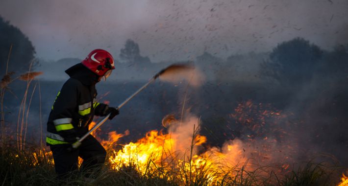 Pożar w Kampinowskim Parku Narodowym