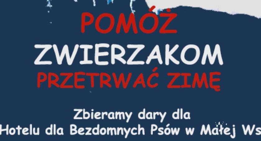 Dla Bezdomnych Psów w Małej Wsi 