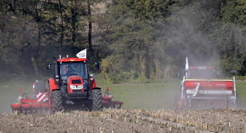 Pokaz pracy ciągników Zetor z maszynami uprawowymi. 