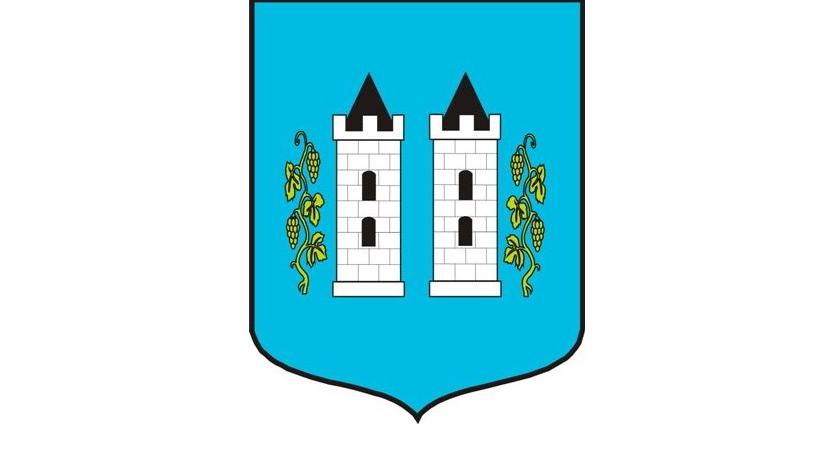 Wyniki wyborów samorządowych Wyszogród