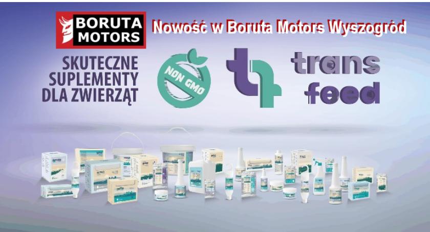 Nowość w Boruta Motors - preparaty dla bydła