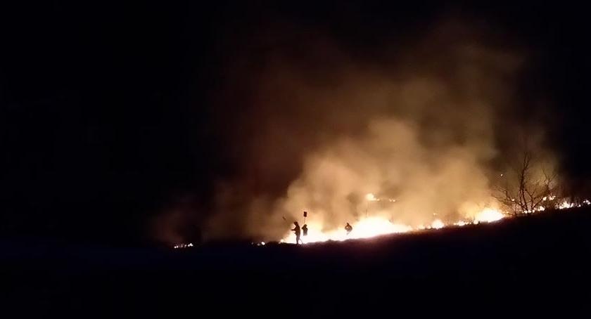 Pożar traw w Kamionie 4,03,2019