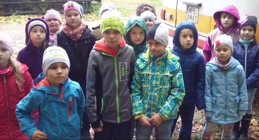 Wycieczka klas pierwszych do lasu- Video