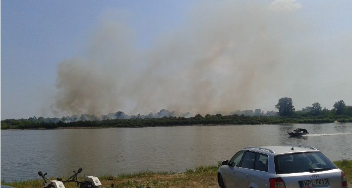 Pożar traw na Kępie