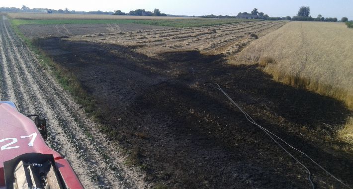Pożar zboża w miejscowości Bolino