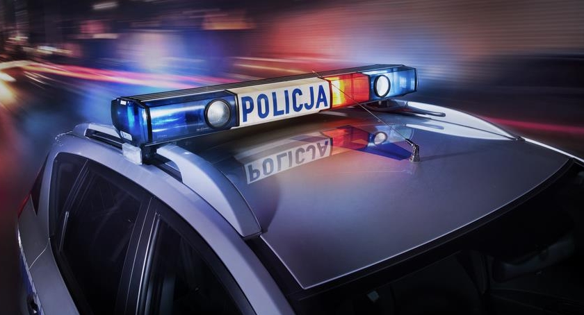 Łoś sprawcą wypadku samochodowego