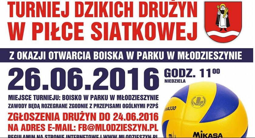  TURNIEJ DZIKICH DRUŻYN W PIŁCE SIATKOWEJ
