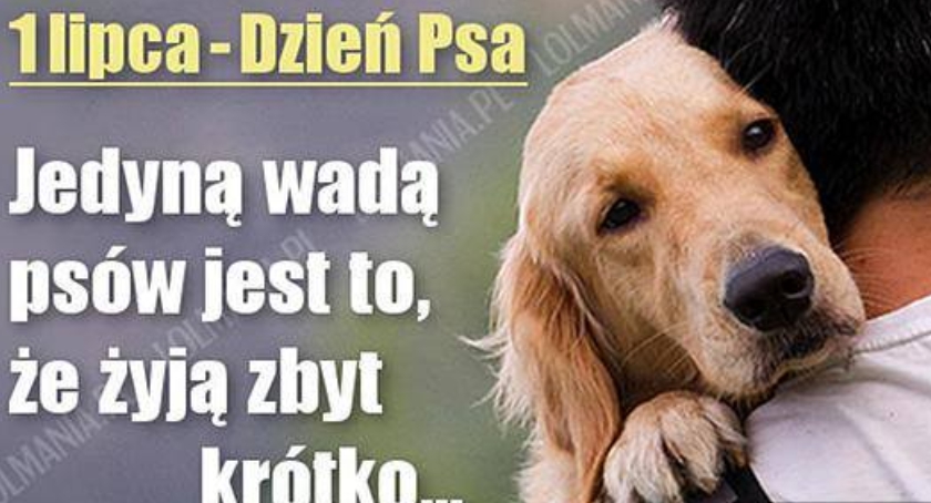 1 Lipca -Dzień Psa