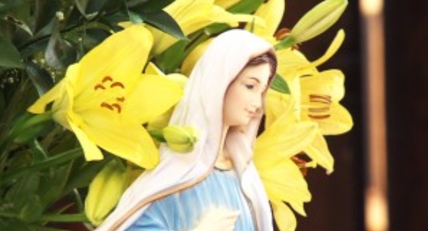 Wniebowzięcie Najświętszej Maryi Panny 