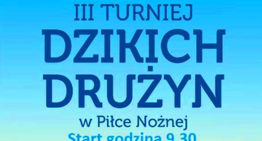 Gmina Bodzanów zaprasza na III Turniej Dzikich Drużyn.