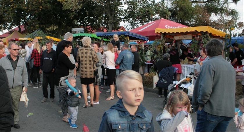 Dożynki Powiatowe - Wyszogród 2016 - fotogaleria cz.2