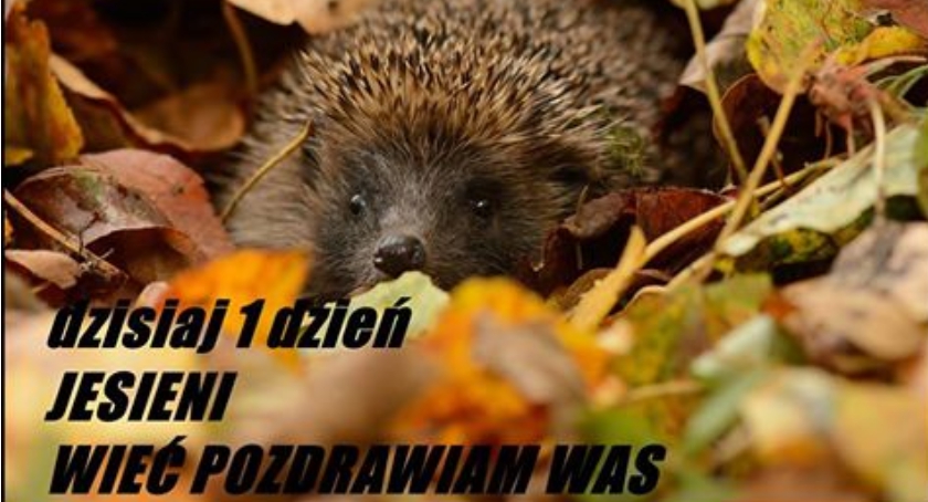 Dzisiaj pierwszy dzień jesieni.