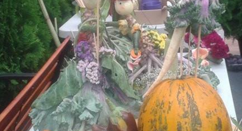 Zespół Szkół Czerwińsk  na XIX Targach Ogrodniczych w  Skierniewicach. 