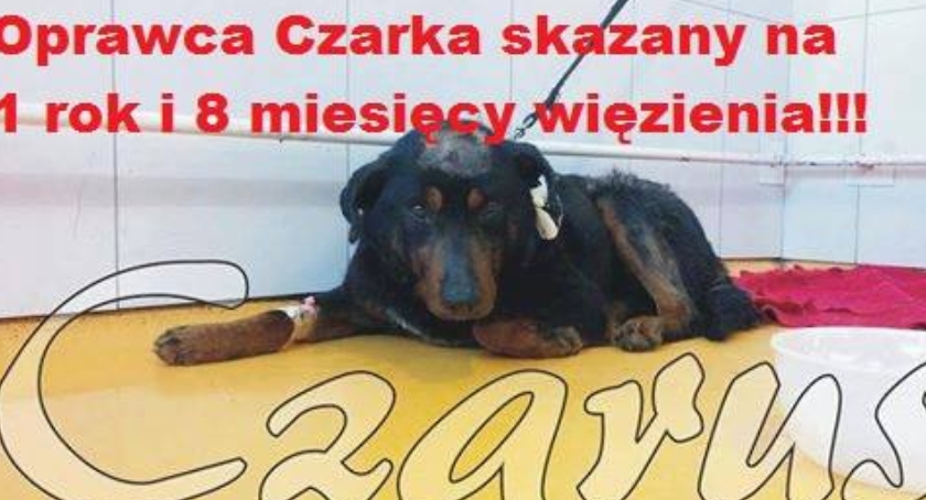 I w deszczowy dzień świeci słońce.